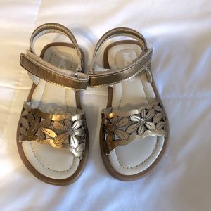 Girls size 24 (US size 8) leather cut-out sandals w/Velcro strap by mod8…